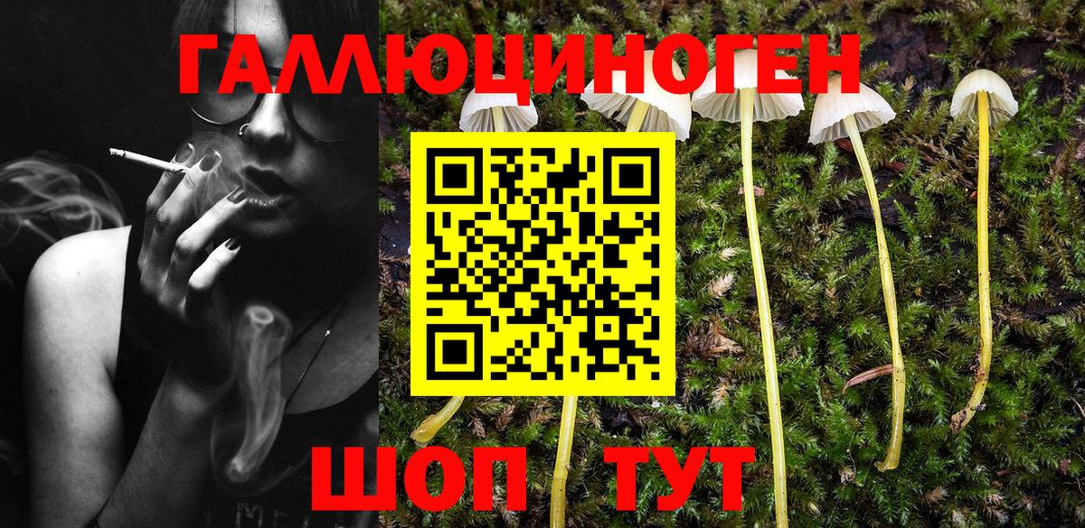 Сегежа  Галлюциногенные грибы MAGIC MUSHROOMS  Вход с VPN 
