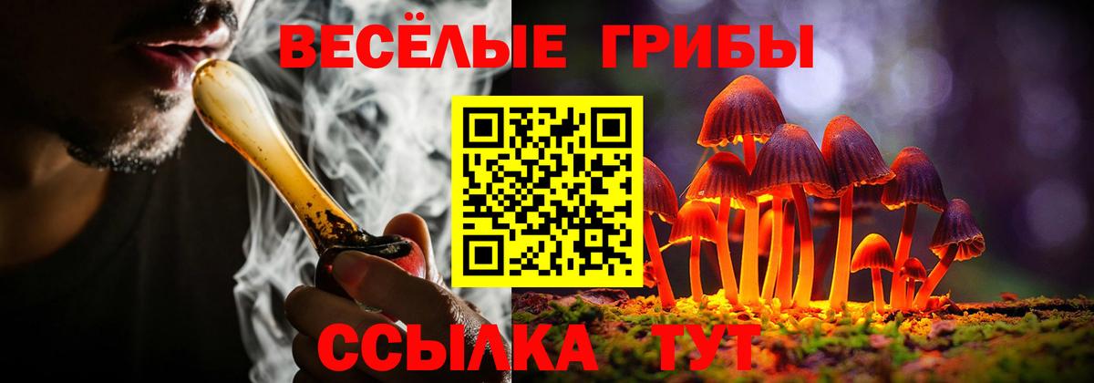 Галлюциногенные грибы прущие грибы Сегежа